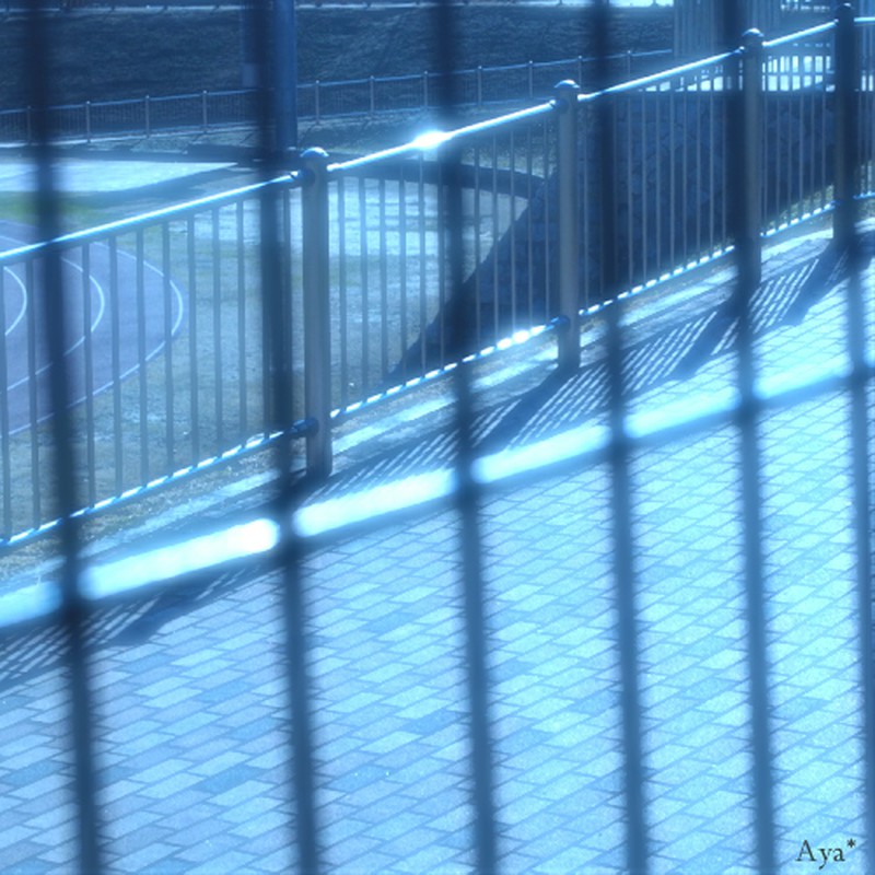 甘く懐かしい記憶