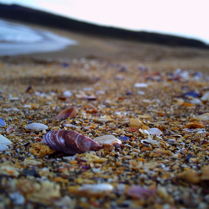 貝殻浜。