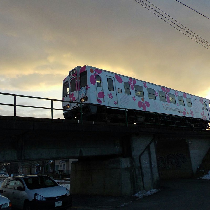 早朝桜列車。