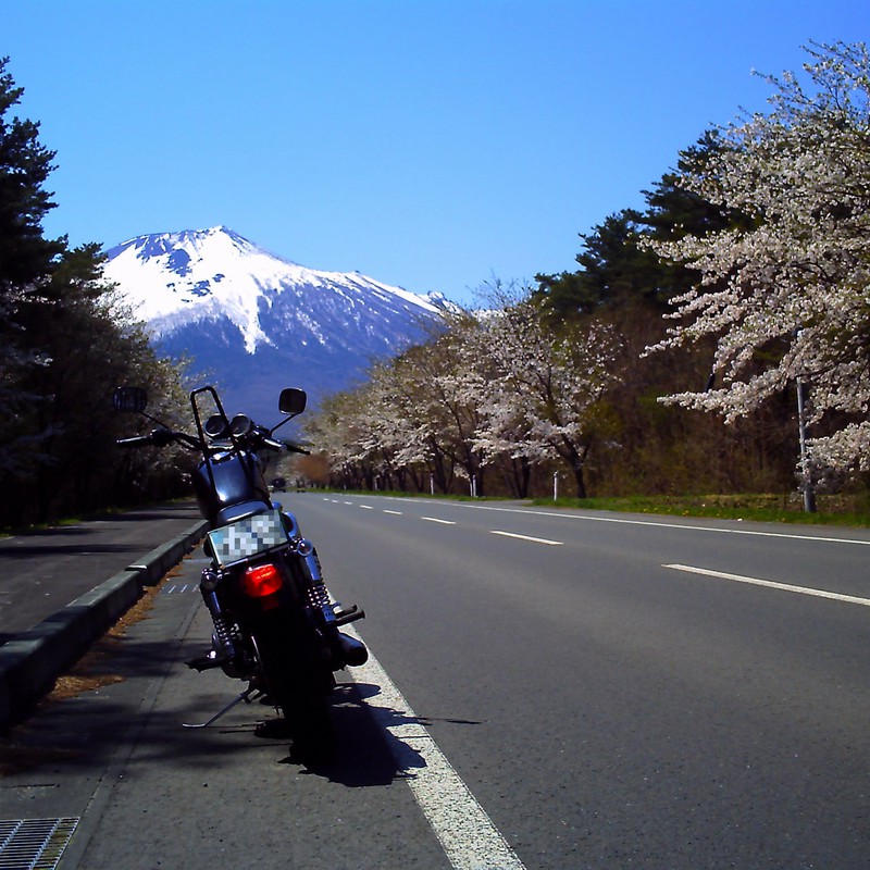 岩手山と桜とアメリカのバイクと。