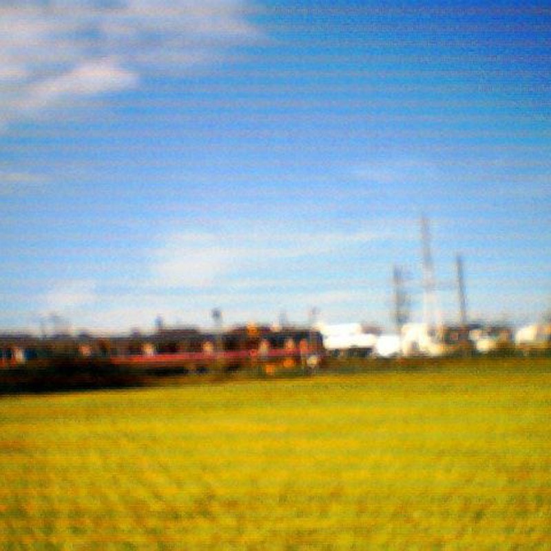 黄金色の中を走る電車