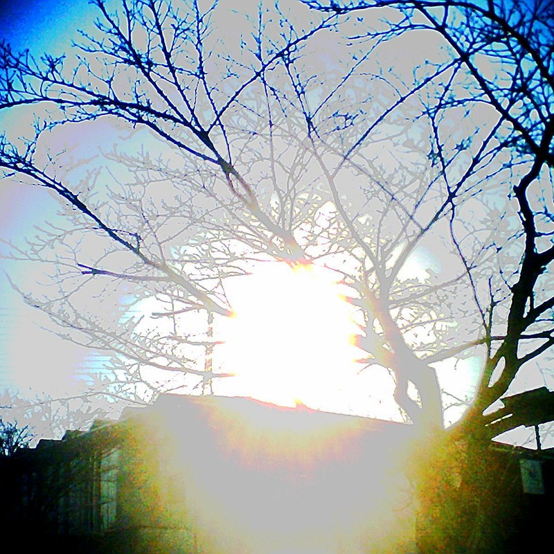 かがやくあさひ