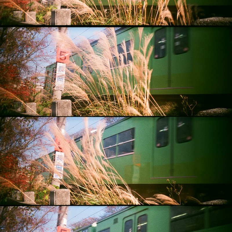 秋列車。