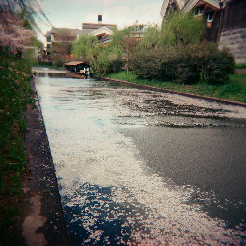 桜川。