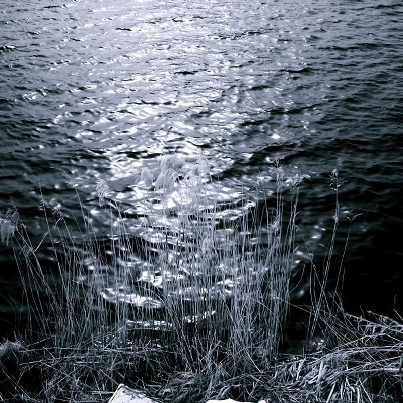 冬の湖面。