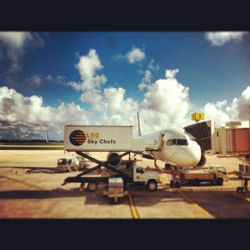 今すぐ乗りたい