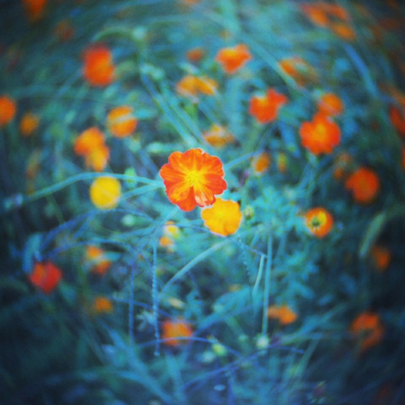 SMR Magic トイレンズで遊ぶ