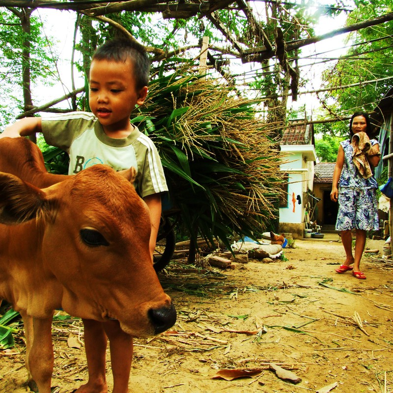 「ええやろ? ええ牛やろ?」