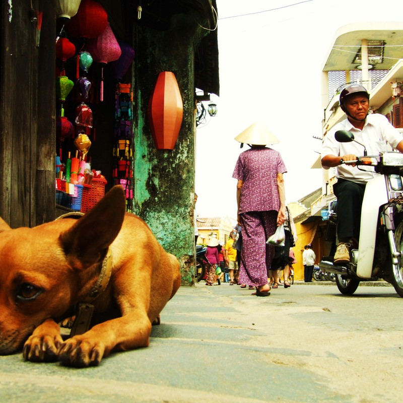 それぞれの日常