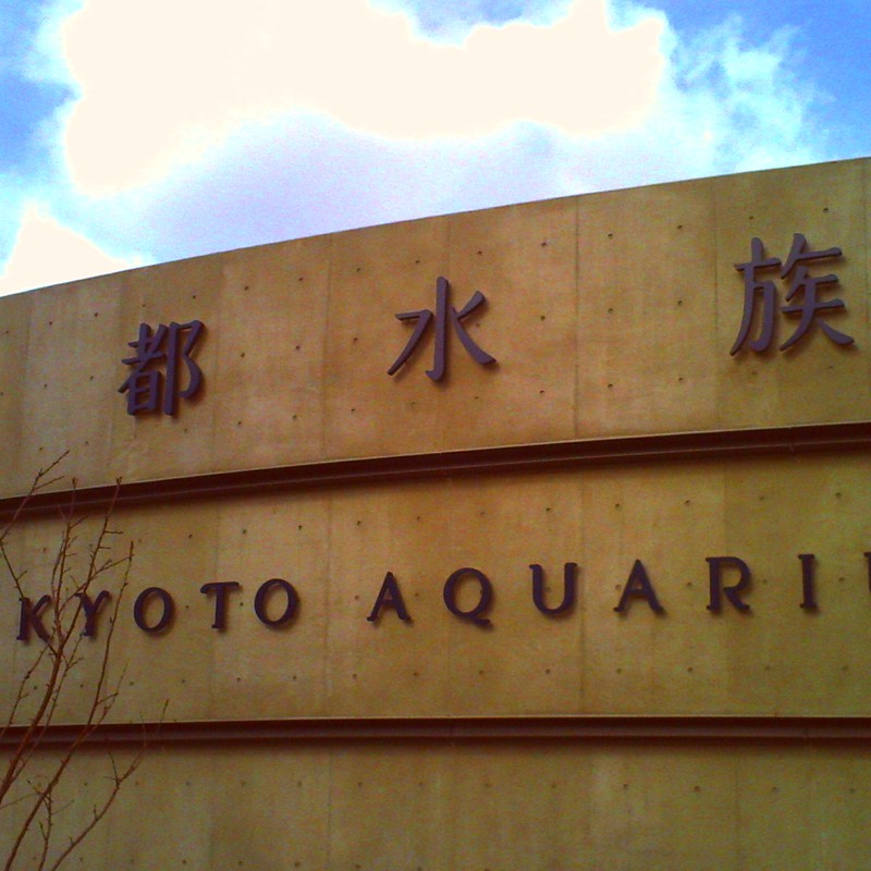 京都水族館に行きました