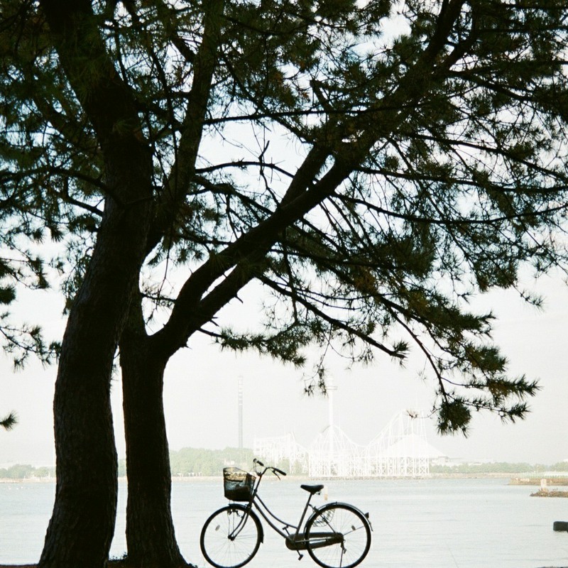 自転車のある風景