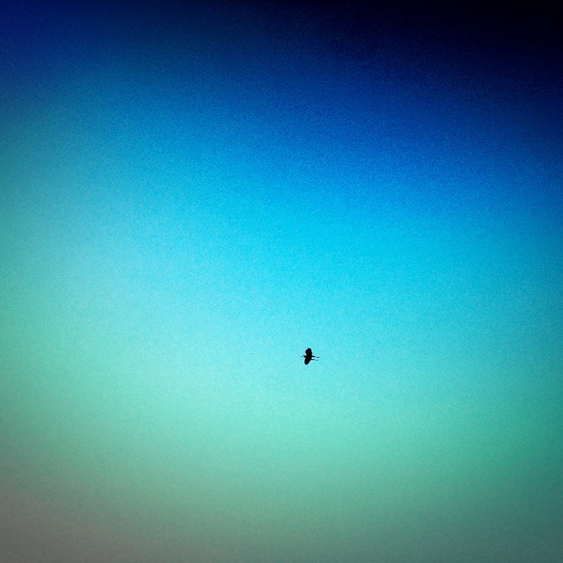 飛べるよ、君にも