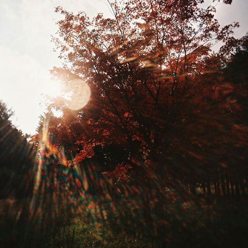 秋の陽