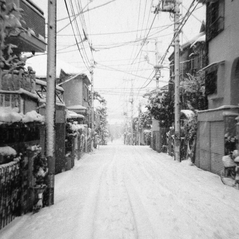 初雪 東京 2
