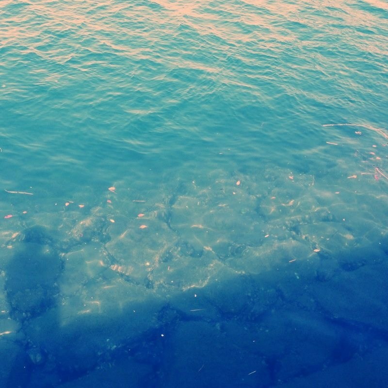 どこから来たの?