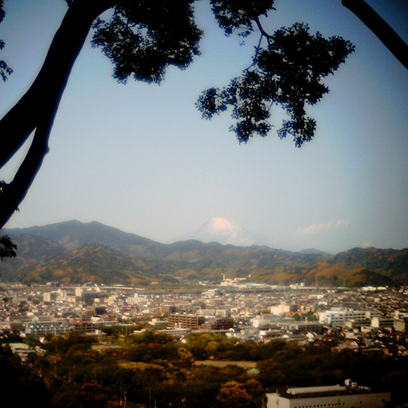 話題の富士山