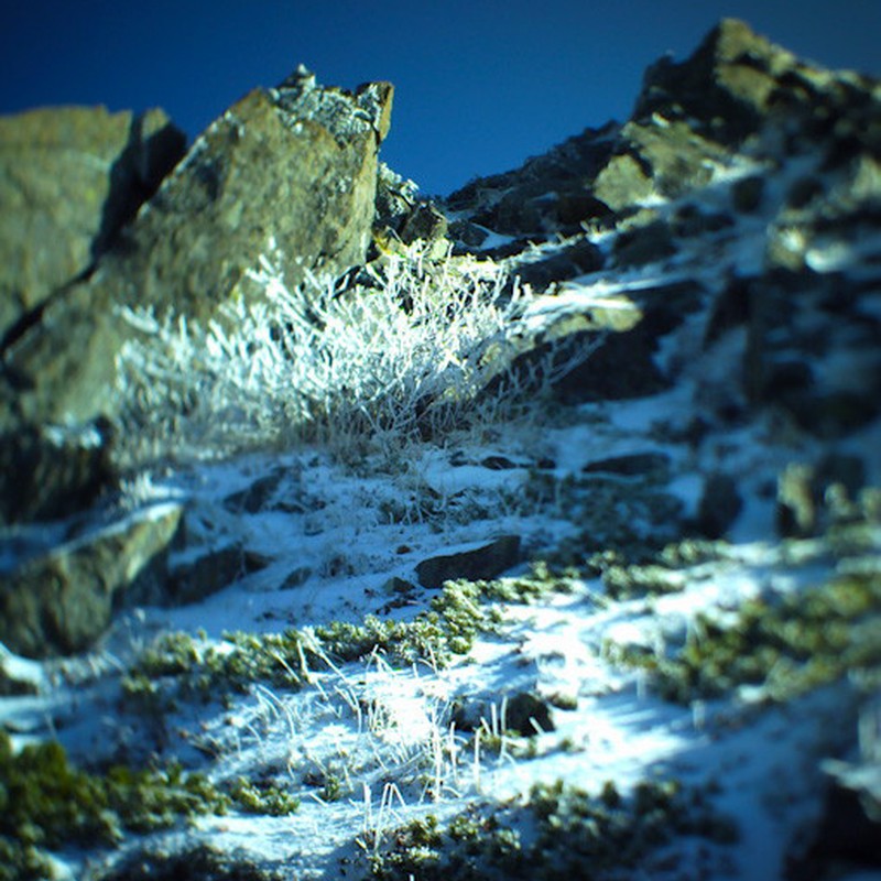 凍てつく岩稜