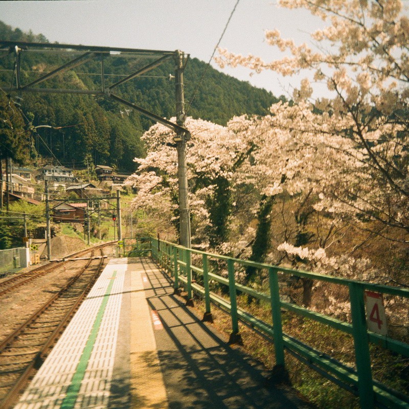 桜の似合う駅