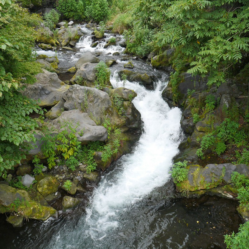白糸の滝…付近の川