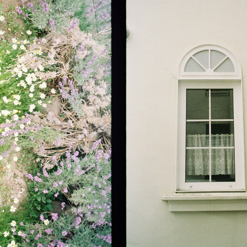 庭と白壁の窓