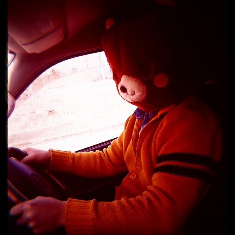 くまさん出没!!