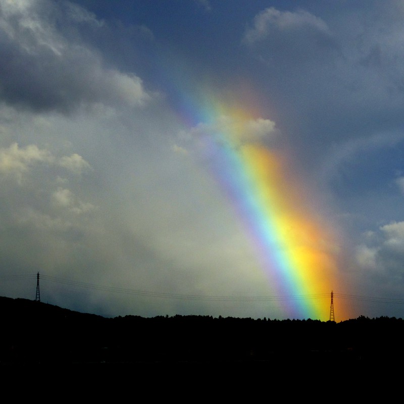 雨の後のお楽しみ