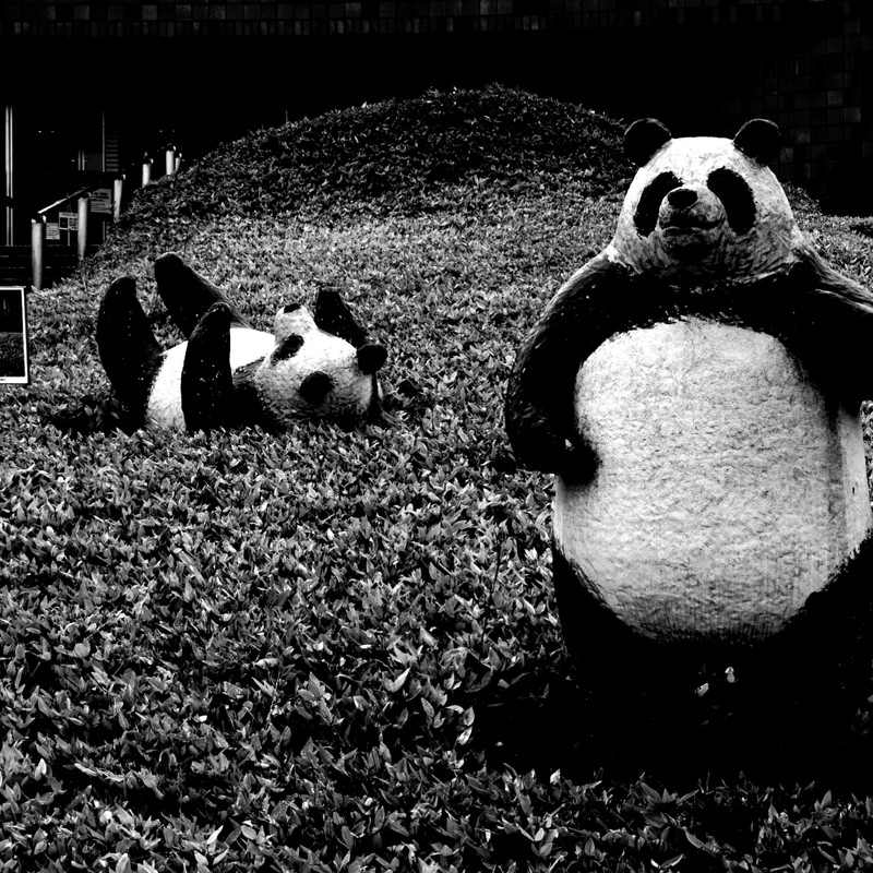 フッ… 顔を洗って出直してきなっ!!!!