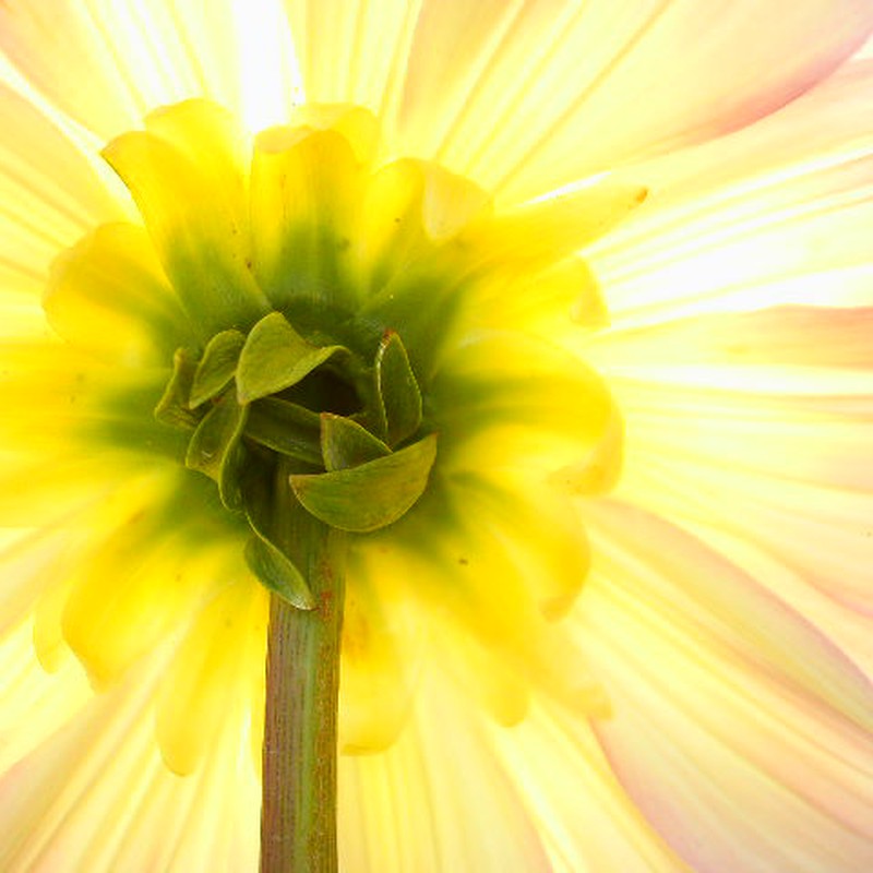 Re:裏側の美しさ…