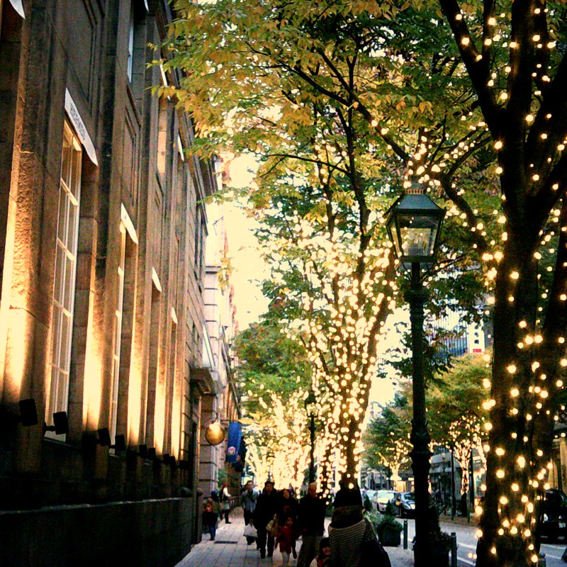 イルミネーションの季節だね♪