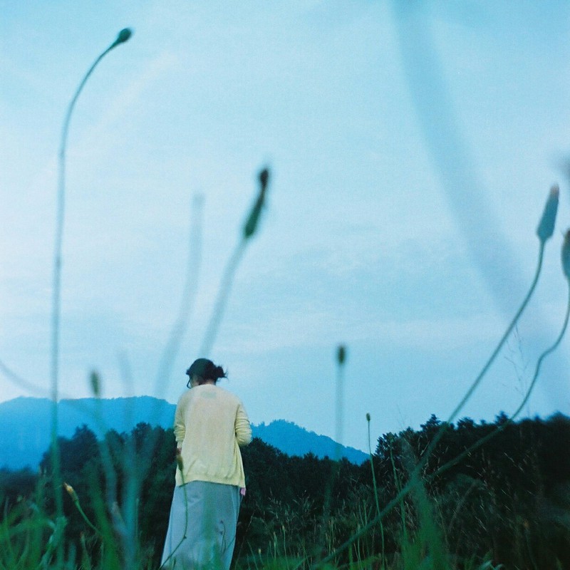 虫の目線で君を見つける