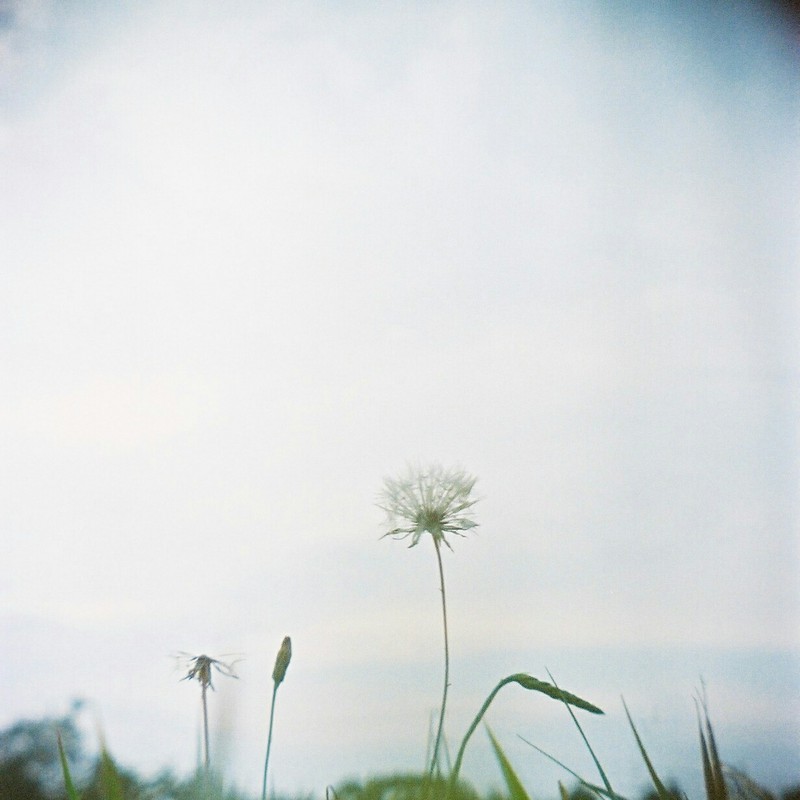 始まりと終わり