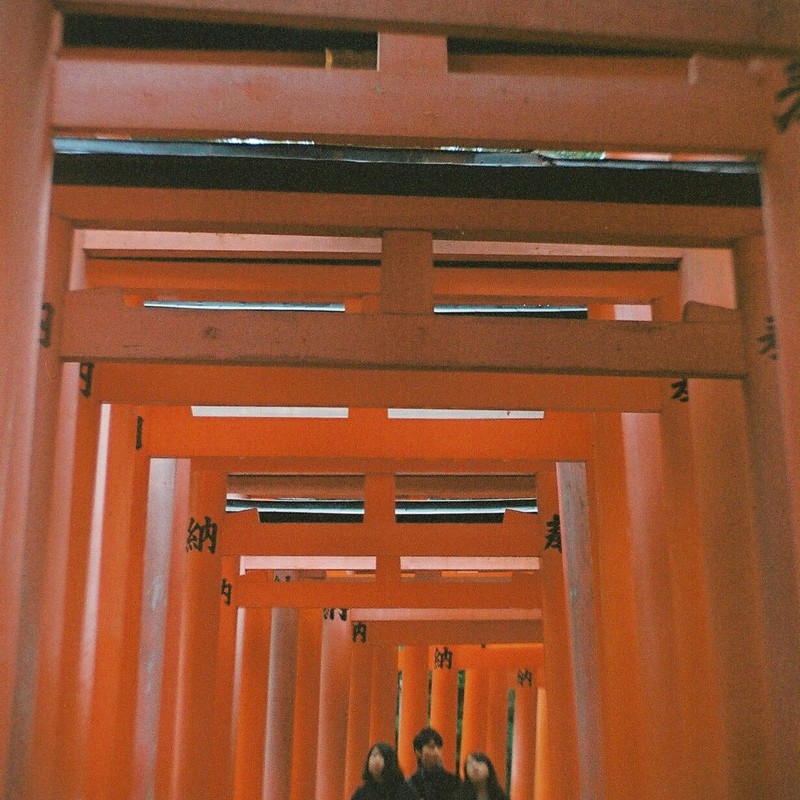 朱の中を歩く。