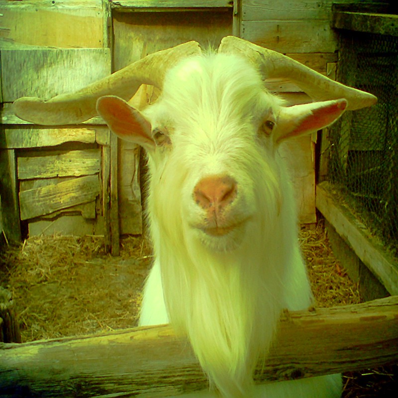 毎日暑いっスね