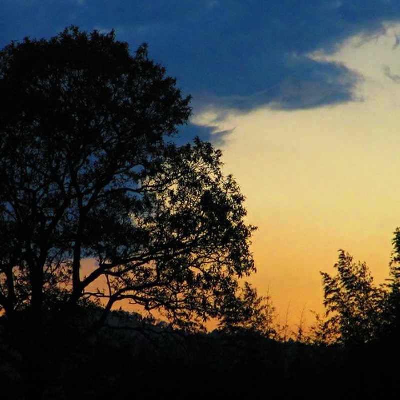 夜がはじまる。