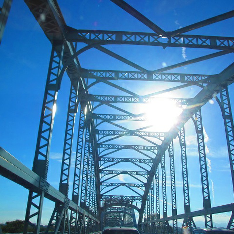 さぁ太陽に向って…