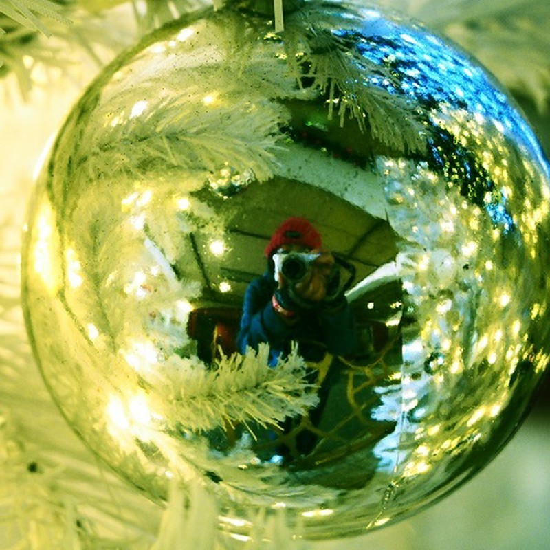 今年もよろしくお願いします。