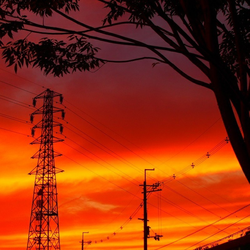 暁の空と鉄塔と電柱