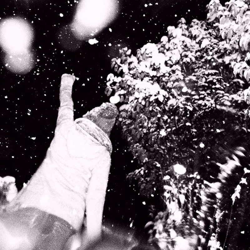 今年も、お世話になります。