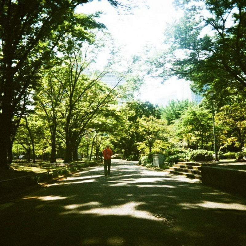 木漏れ日散歩