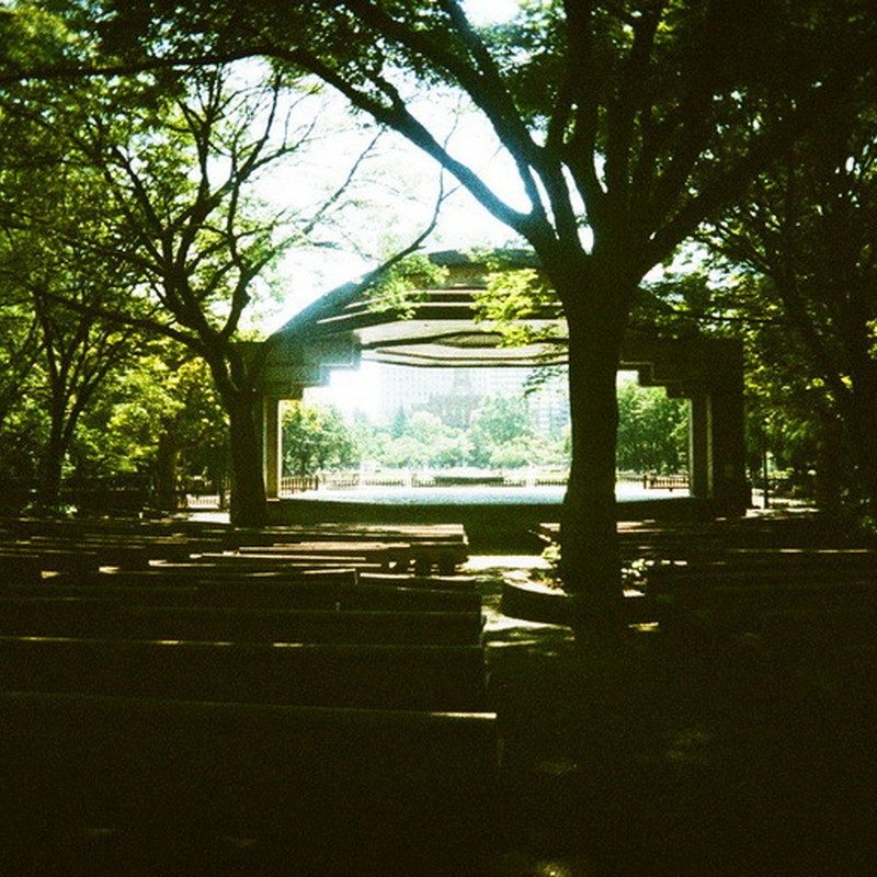 緑に囲まれて・・・