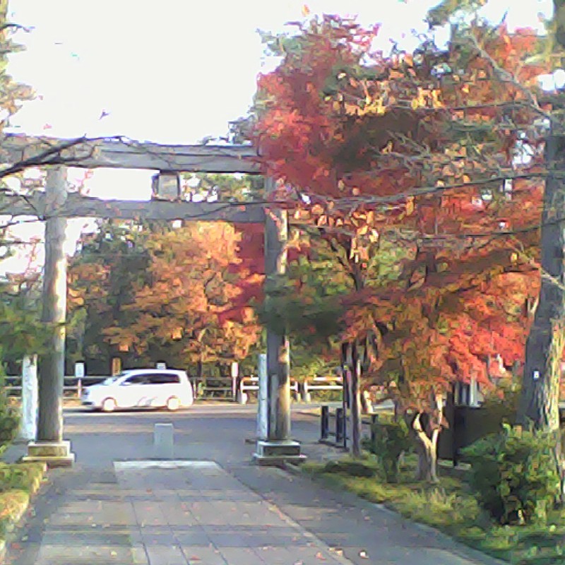 2013/11/24_高麗神社参道