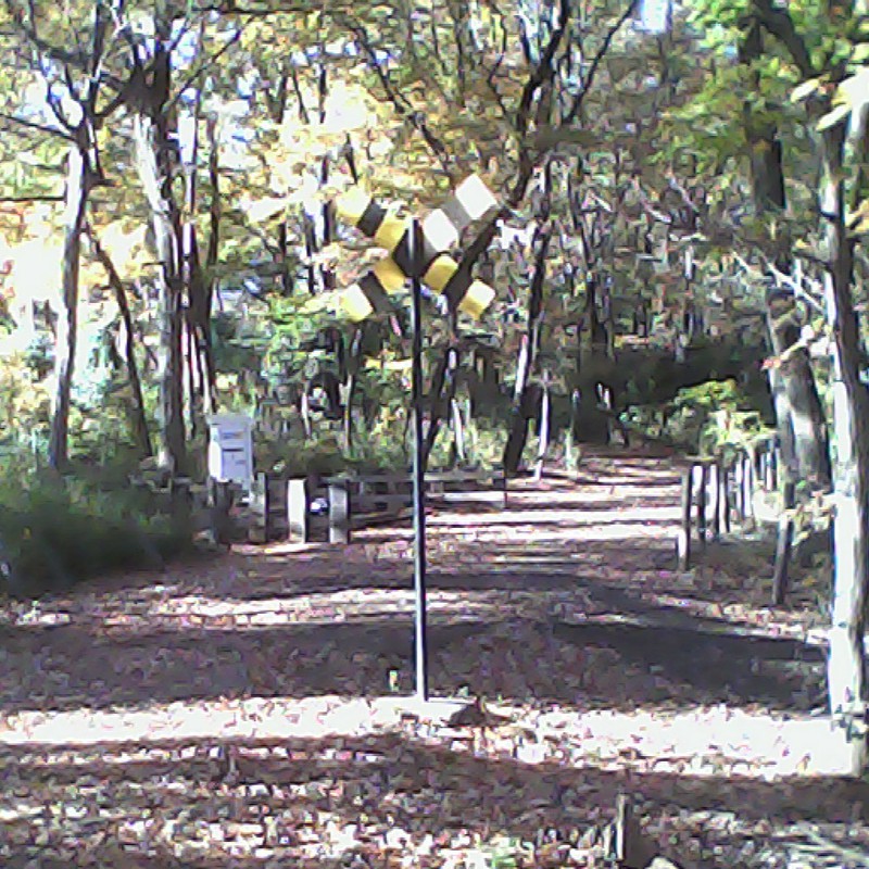 2013/11/30_トロッコ公園 踏切と白鳥の停車場