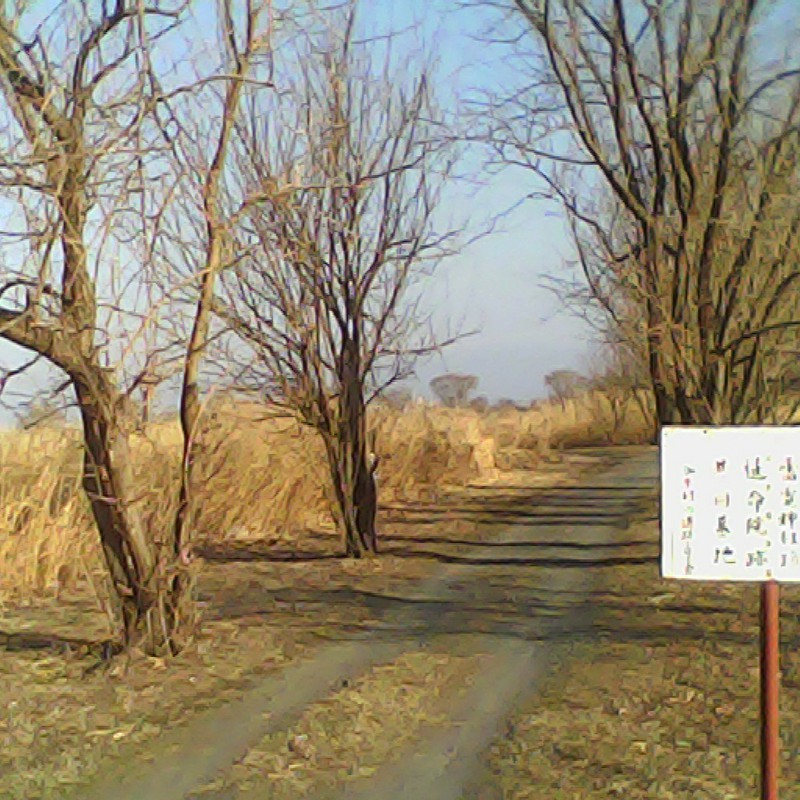 2014/02/23_旧谷中村遺跡への道