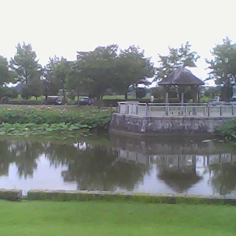 2014/07/06_平成の森公園 修景池