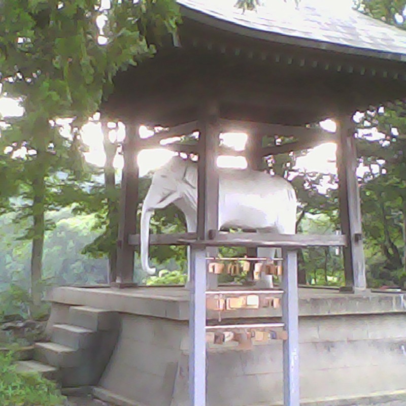 2014/07/12_観音寺の白い象