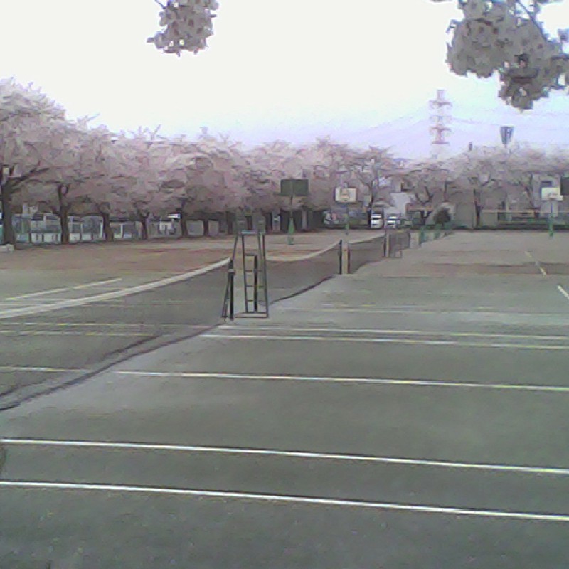 2015/04/04_グラウンドの桜