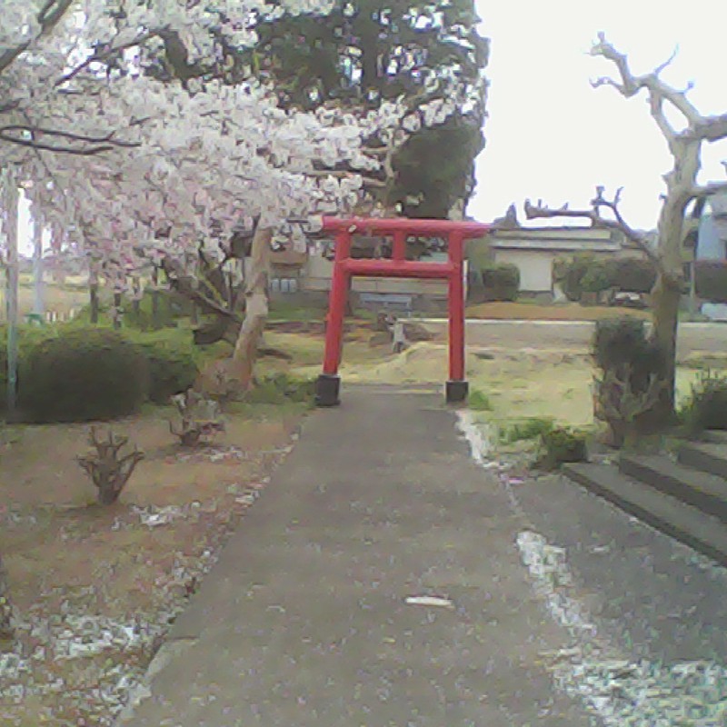 2015/04/04_神社の桜