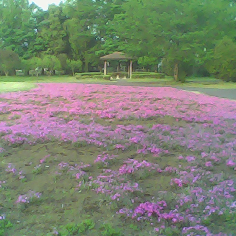 2015/04/25_花の丘農林公苑