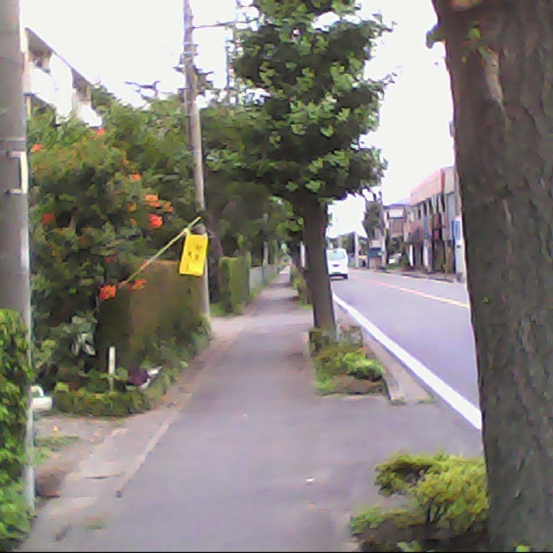 2015/06/20_幸せの（?）黄色い旗