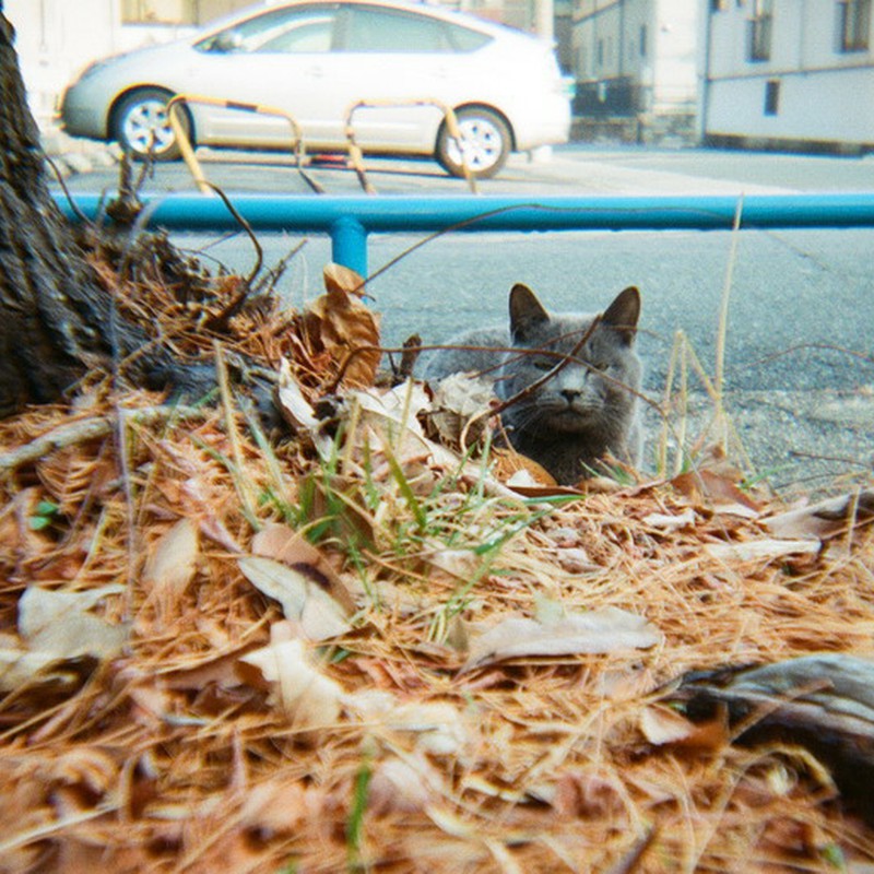 だからアンタ誰よ?